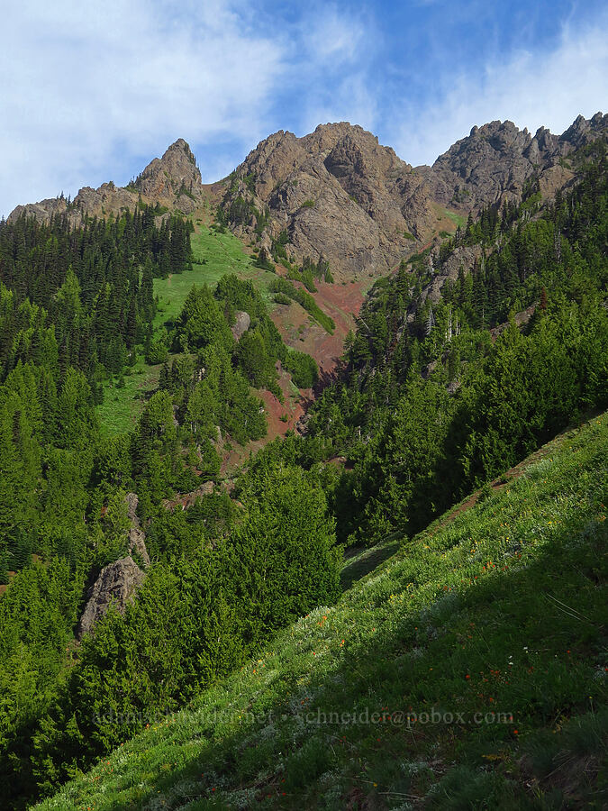 Mount Angeles [Switchback Trail, Olympic National Park, Clallam County, Washington]