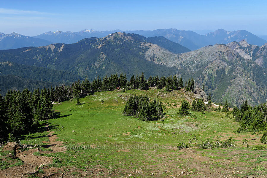 Hurricane Hill, Griff Peak, & Unicorn Peak [Mount Angeles summit trail, Olympic National Park, Clallam County, Washington]