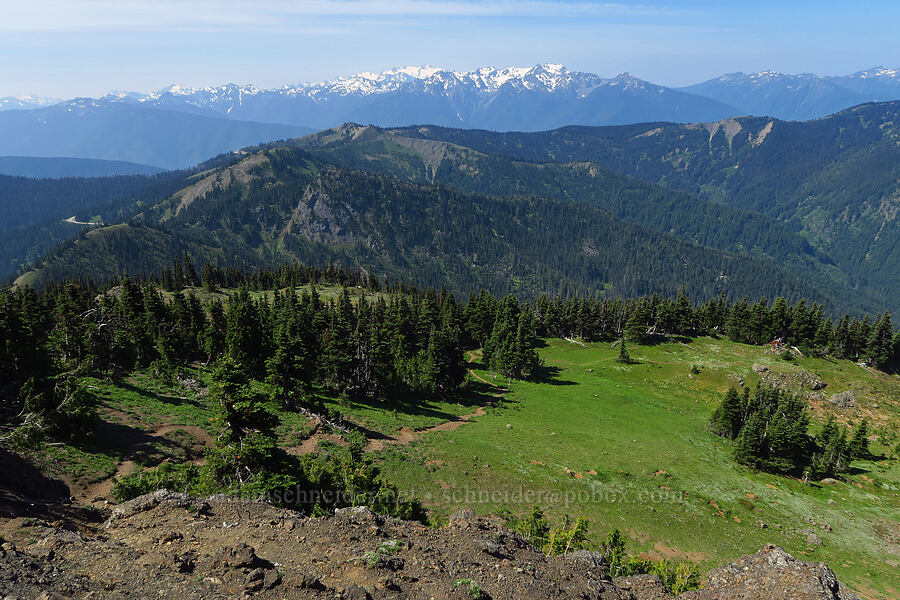 Hurricane Ridge & Mount Olympus [Mount Angeles summit trail, Olympic National Park, Clallam County, Washington]
