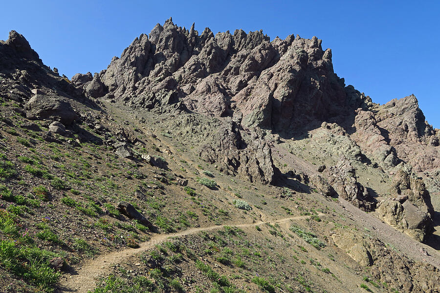 crags south of Second Top [Heather Park Trail, Olympic National Park, Clallam County, Washington]
