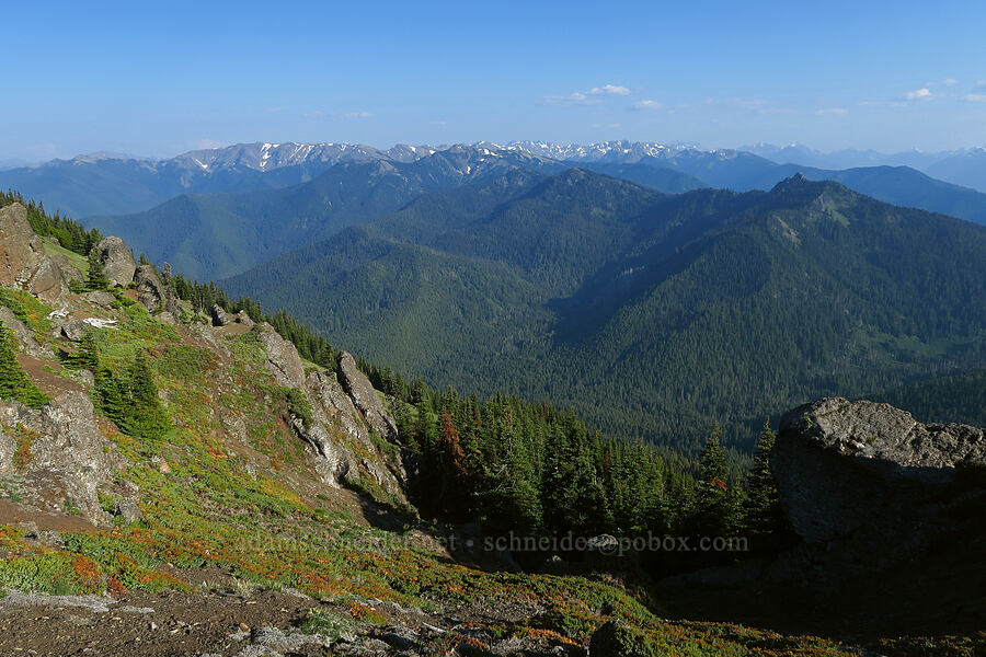 view to the southeast [Klahhane Ridge Trail, Olympic National Park, Clallam County, Washington]