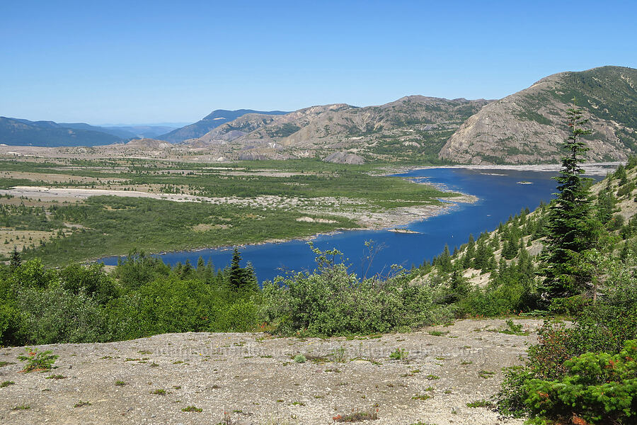 Spirit Lake & Johnston Ridge [Windy Ridge Viewpoint, Mt. St. Helens National Volcanic Monument, Skamania County, Washington]