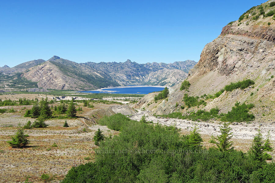 Harry's Ridge, Spirit Lake, & the end of Windy Ridge [Truman Trail, Mt. St. Helens National Volcanic Monument, Skamania County, Washington]