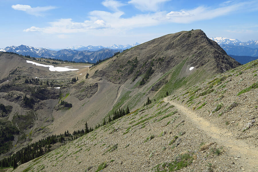 Obstruction Peak [Obstruction Point-Deer Park Trail, Olympic National Park, Clallam County, Washington]