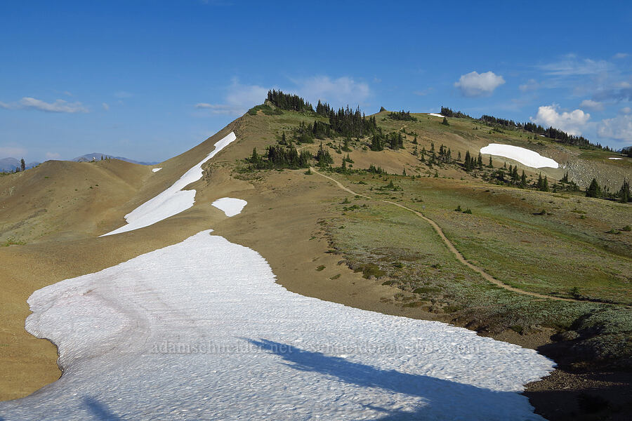 snowfields & the Grand Valley Trail [Obstruction Point-Deer Park Trail, Olympic National Park, Clallam County, Washington]