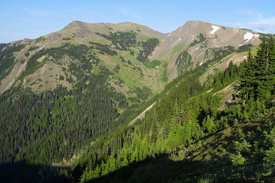 Elk Mountain & Obstruction Peak [Obstruction Point Road, Olympic National Park, Clallam County, Washington]