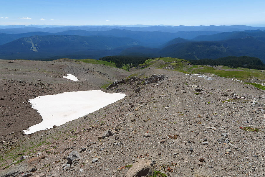 Paradise Park from above [above Paradise Park, Mt. Hood Wilderness, Clackamas County, Oregon]