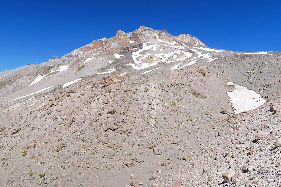 Mount Hood [above Paradise Park, Mt. Hood Wilderness, Clackamas County, Oregon]