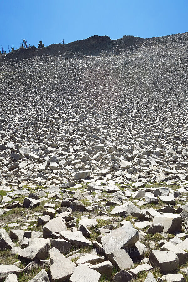 pika habitat (Ochotona princeps fenisex) [Shellrock Peak Trail, William O. Douglas Wilderness, Yakima County, Washington]