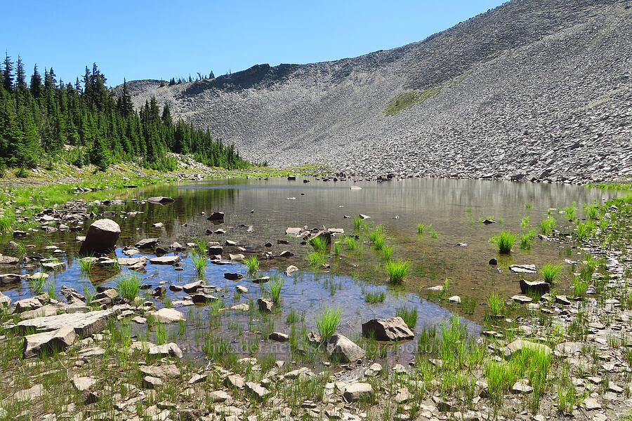tarn below Shellrock Peak [Shellrock Peak Trail, William O. Douglas Wilderness, Yakima County, Washington]