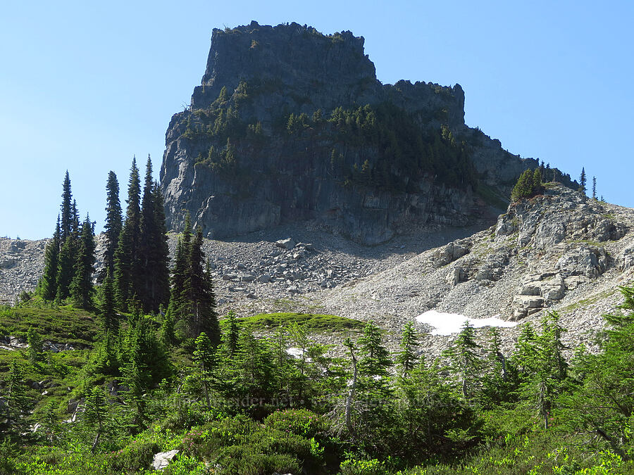 The Castle [below The Castle, Mount Rainier National Park, Lewis County, Washington]