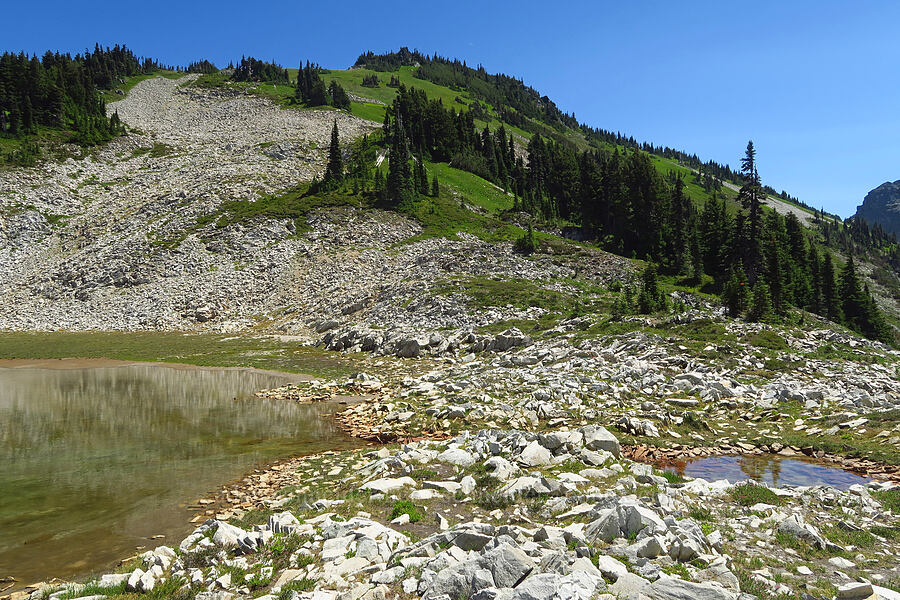 Foss Peak [Tatoosh Range, Mount Rainier National Park, Lewis County, Washington]