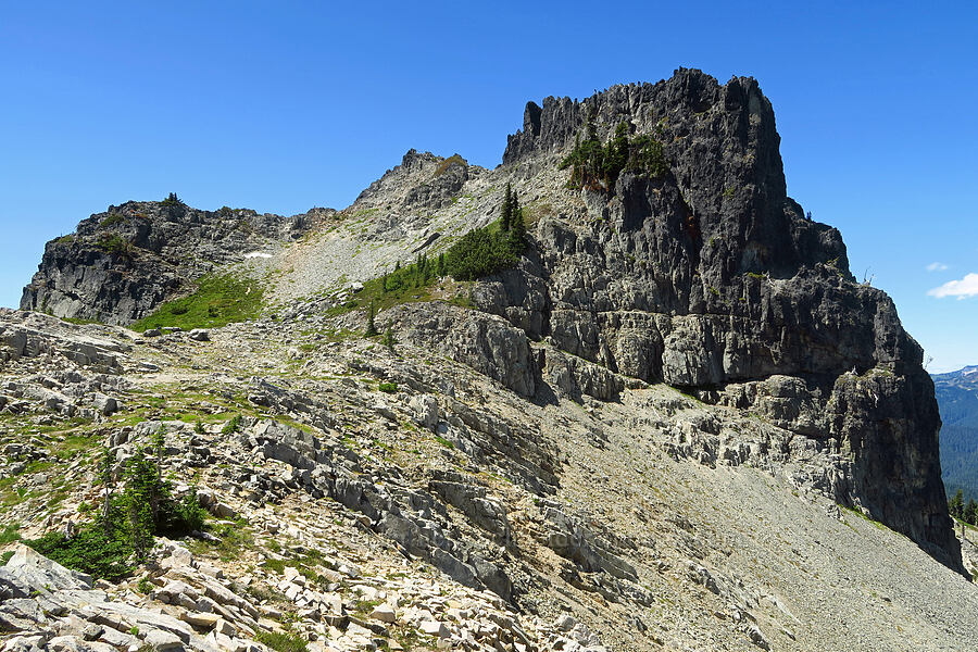 The Castle [Tatoosh Range, Mount Rainier National Park, Lewis County, Washington]