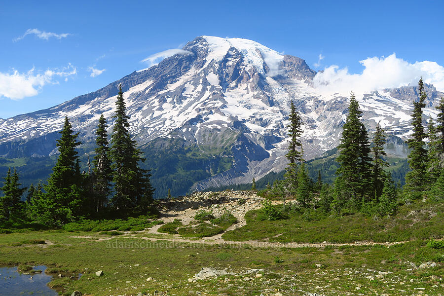 Mount Rainier [Tatoosh Range, Mount Rainier National Park, Lewis County, Washington]