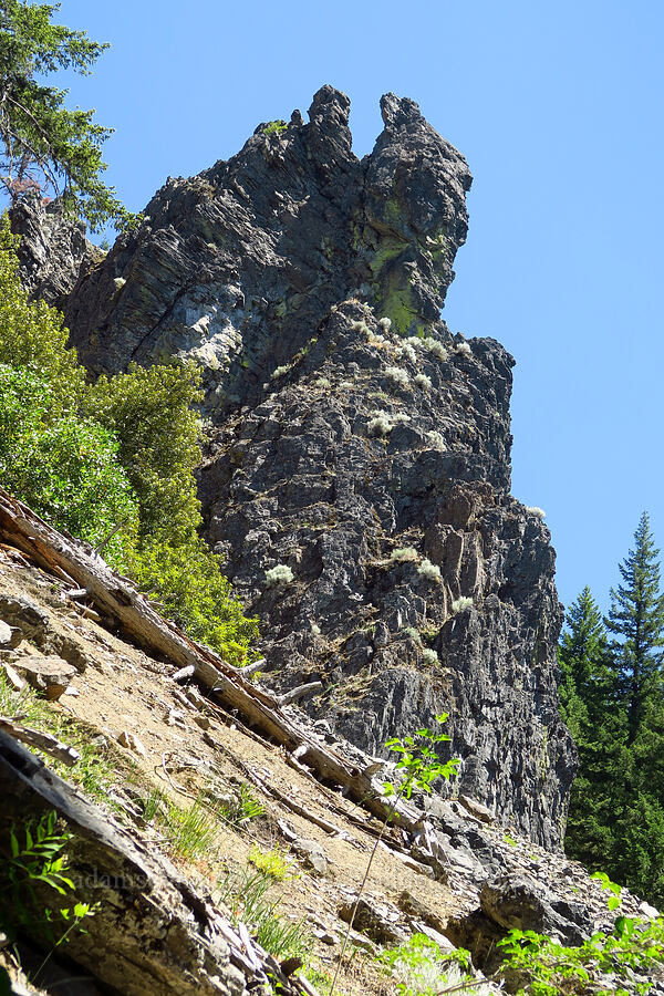 Youngs Rock [Youngs Rock Trail, Willamette National Forest, Lane County, Oregon]