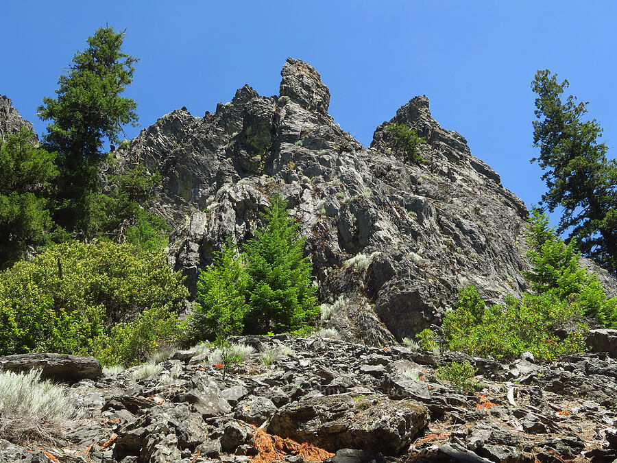 Youngs Rock [Youngs Rock Trail, Willamette National Forest, Lane County, Oregon]