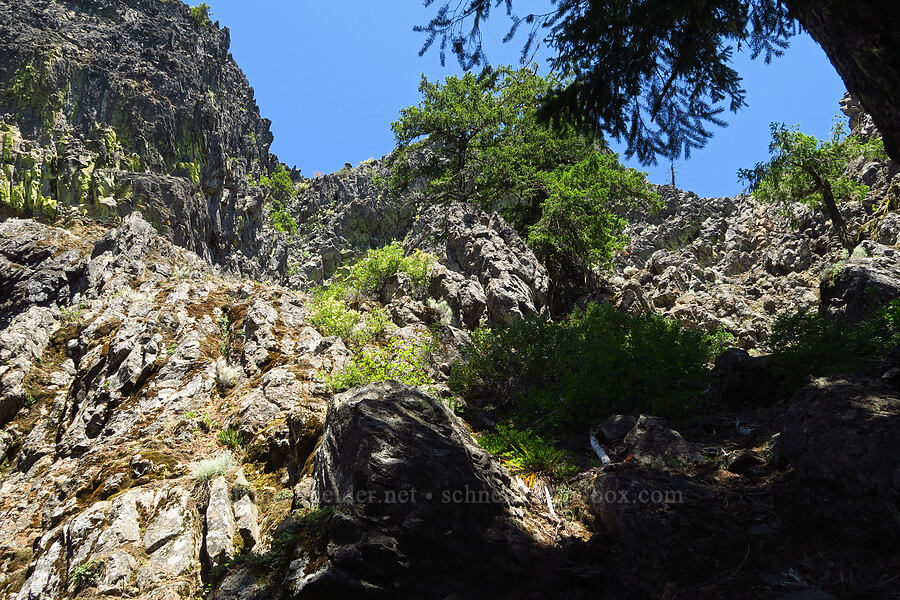 southwest side of Youngs Rock [Youngs Rock, Willamette National Forest, Lane County, Oregon]