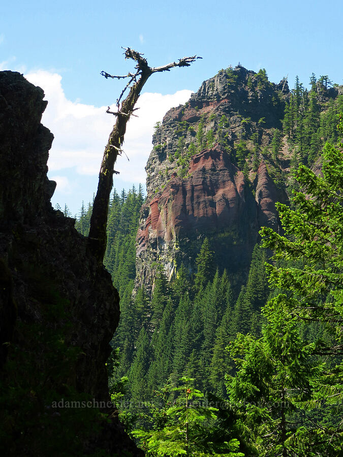 Moon Point [Youngs Rock, Willamette National Forest, Lane County, Oregon]