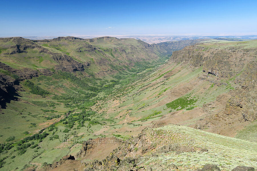 Big Indian Canyon [Big Indian Canyon Headwall, Steens Mountain, Harney County, Oregon]