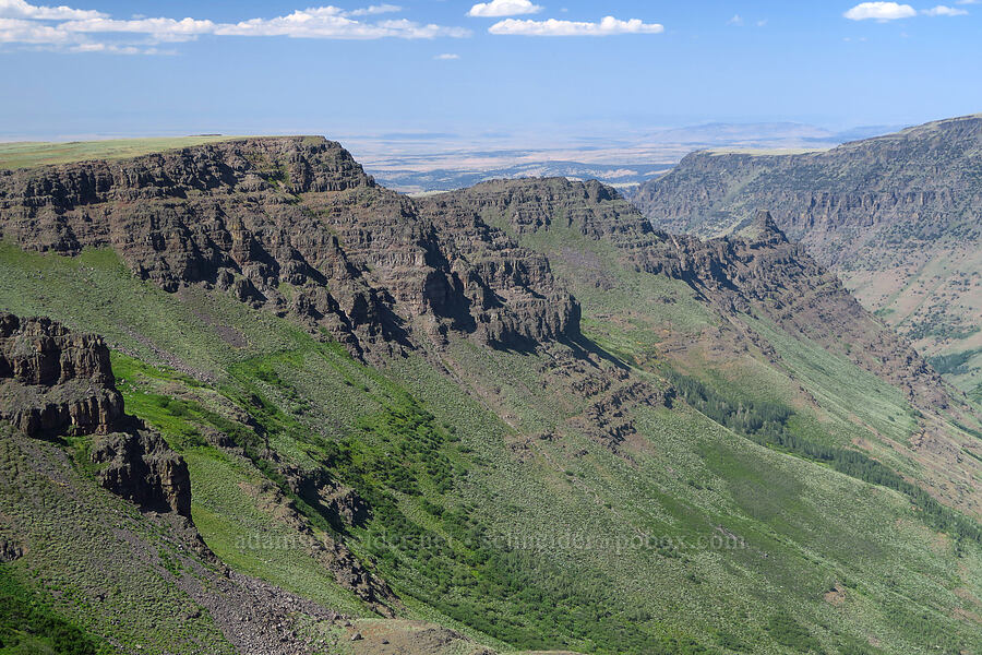 west rim of Kiger Gorge [Kiger Gorge Overlook, Steens Mountain, Harney County, Oregon]