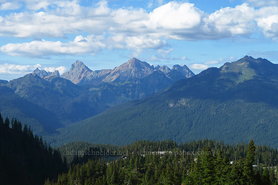 mountains to the northeast [Mt. Baker Highway, Mt. Baker-Snoqualmie National Forest, Whatcom County, Washington]