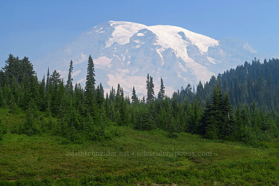 Mount Rainier [Paradise, Mt. Rainier National Park, Pierce County, Washington]