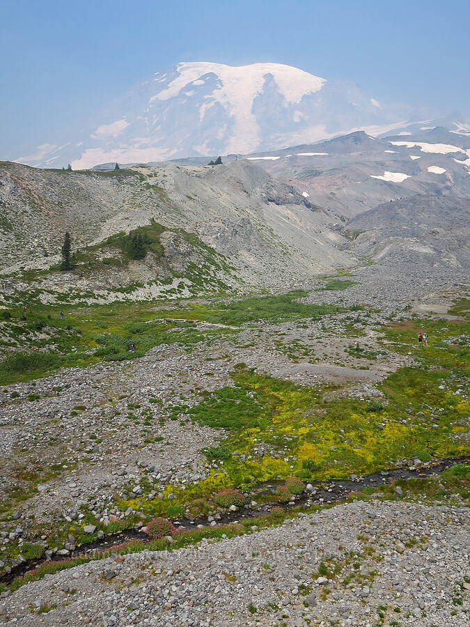 Mount Rainier & a subalpine basin [Skyline Trail, Mt. Rainier National Park, Pierce County, Washington]
