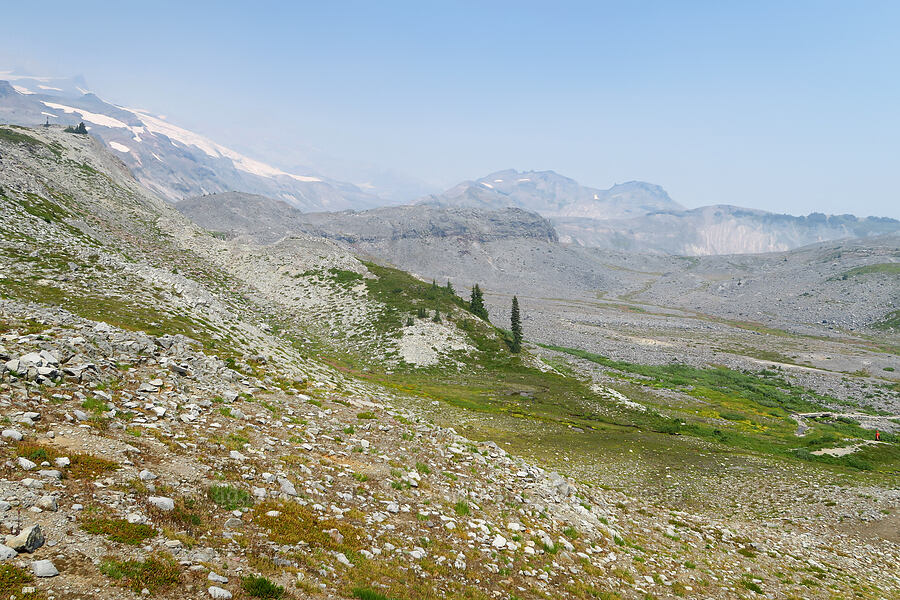 alpine/subalpine terrain [Skyline Trail, Mt. Rainier National Park, Pierce County, Washington]