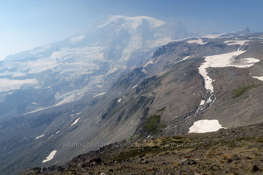 Mount Rainier [Pebble Creek Trail, Mt. Rainier National Park, Pierce County, Washington]