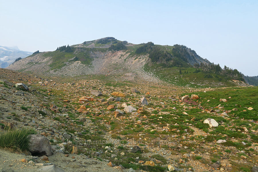 Panorama Point [Dead Horse Creek Trail, Mt. Rainier National Park, Pierce County, Washington]