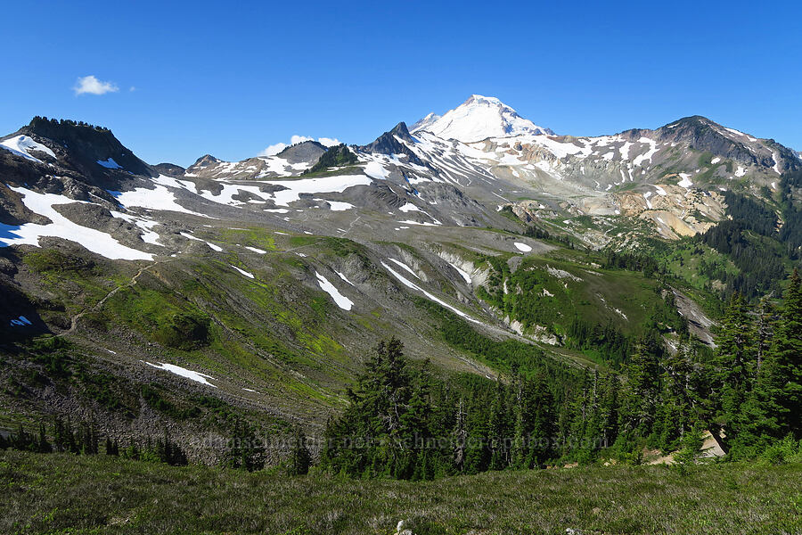 Mount Baker [Ptarmigan Ridge Trail, Mt. Baker Wilderness, Whatcom County, Washington]