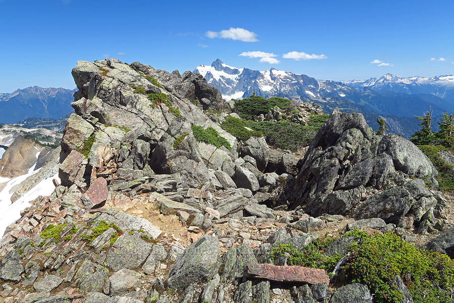 summit of Coleman Pinnacle West [Ptarmigan Ridge, Mt. Baker Wilderness, Whatcom County, Washington]