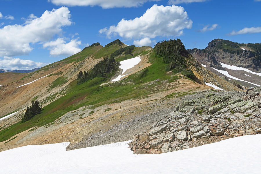 Ptarmigan Ridge [Ptarmigan Ridge, Mt. Baker Wilderness, Whatcom County, Washington]