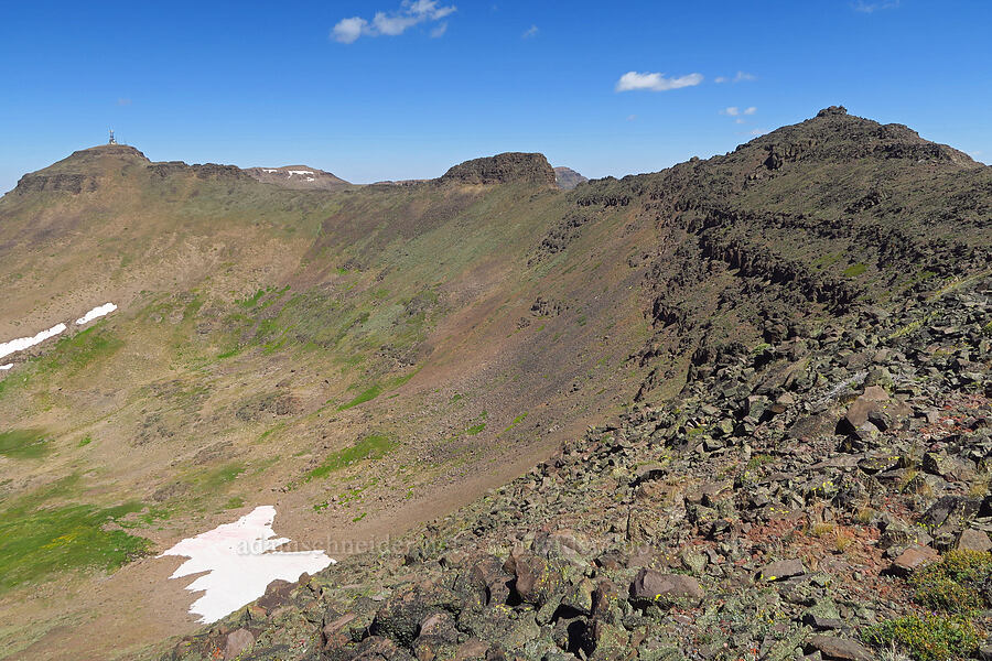 basin east of Wildhorse Lake [Steens Mountain summit ridge, Steens Mountain, Harney County, Oregon]