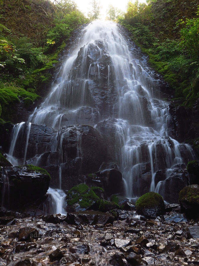 Fairy Falls [Wahkeena Trail, Mt. Hood National Forest, Multnomah County, Oregon]