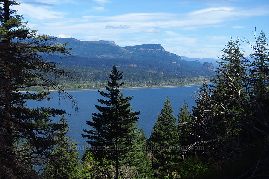 Hamilton Mountain & Table Mountain [Multnomah Falls Trail, Mt. Hood National Forest, Multnomah County, Oregon]