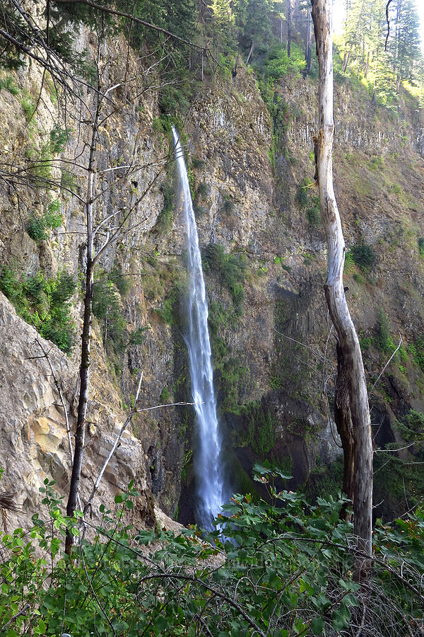 Multnomah Falls [Multnomah Falls Trail, Mt. Hood National Forest, Multnomah County, Oregon]