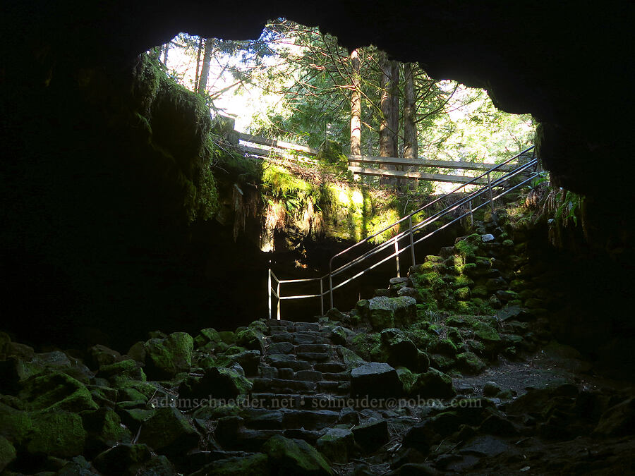 lower entrance of Ape Cave [Ape Cave, Mt. St. Helens National Volcanic Monument, Skamania County, Washington]