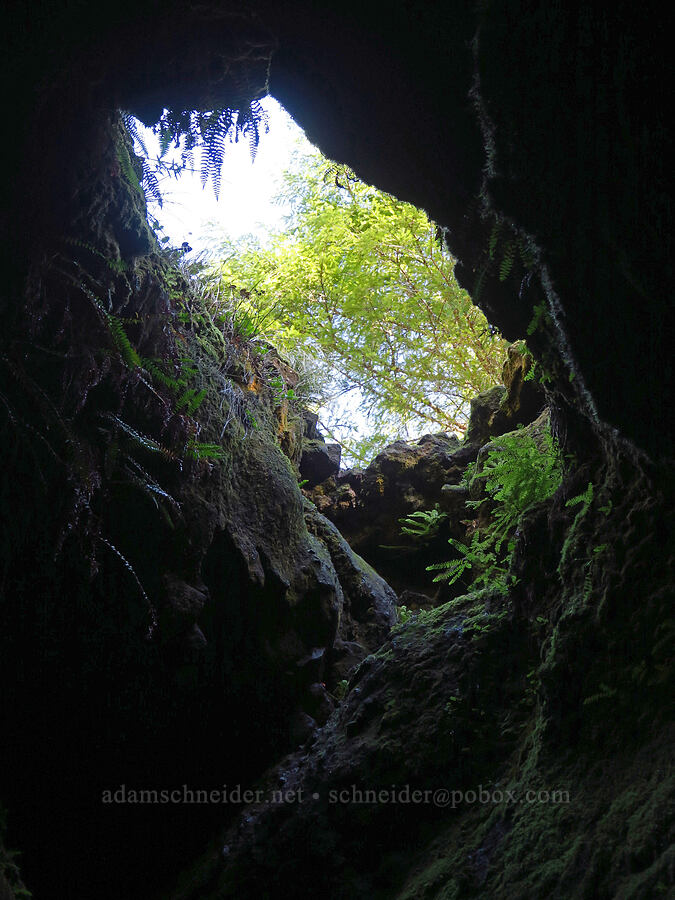 The Skylight [Ape Cave, Mt. St. Helens National Volcanic Monument, Skamania County, Washington]