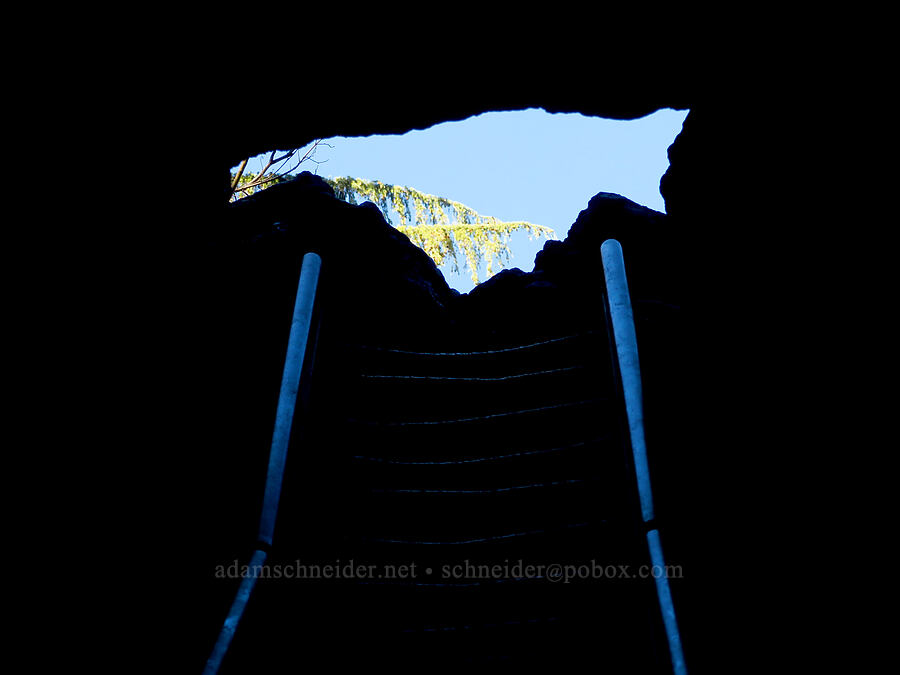 upper entrance of Ape Cave [Ape Cave, Mt. St. Helens National Volcanic Monument, Skamania County, Washington]