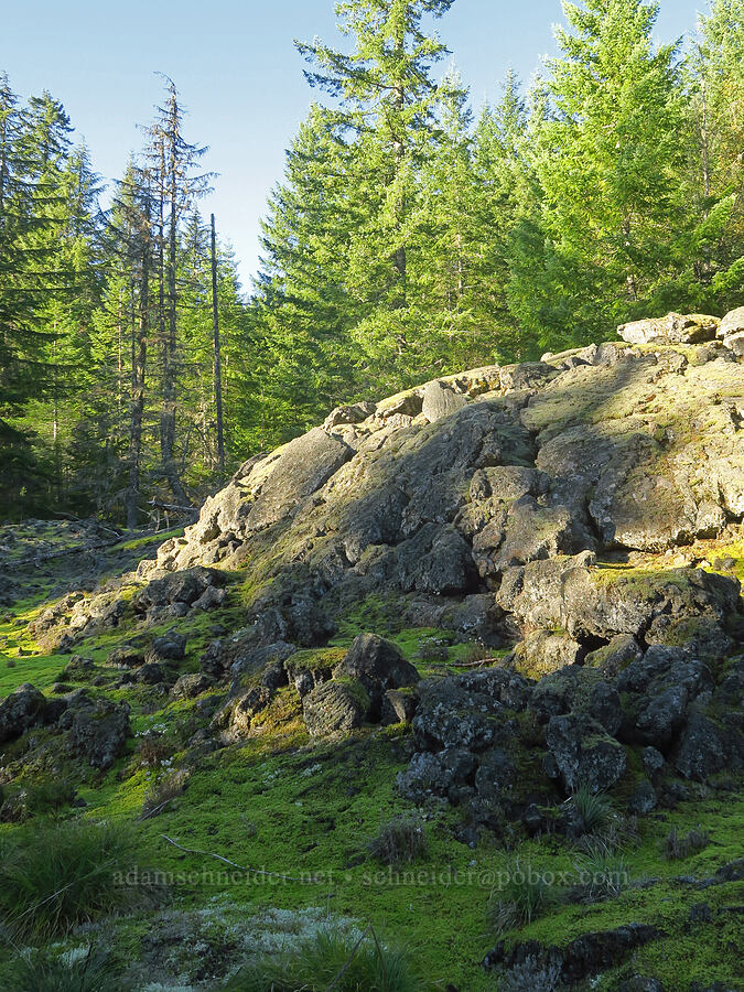 mossy blocky lava flow [Ape Cave Trail, Mt. St. Helens National Volcanic Monument, Skamania County, Washington]