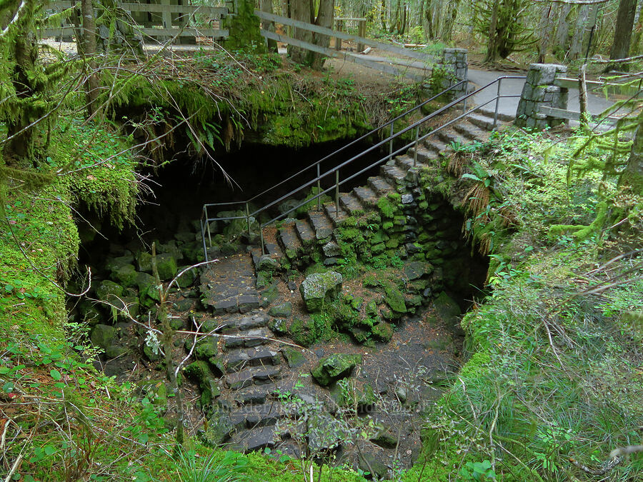 lower entrance of Ape Cave [Ape Cave Trail, Mt. St. Helens National Volcanic Monument, Skamania County, Washington]