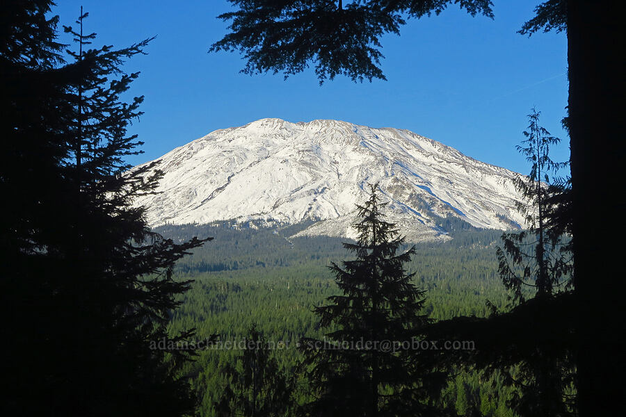 Mount St. Helens [Volcanic Viewpoint Trail, Mt. St. Helens National Volcanic Monument, Skamania County, Washington]