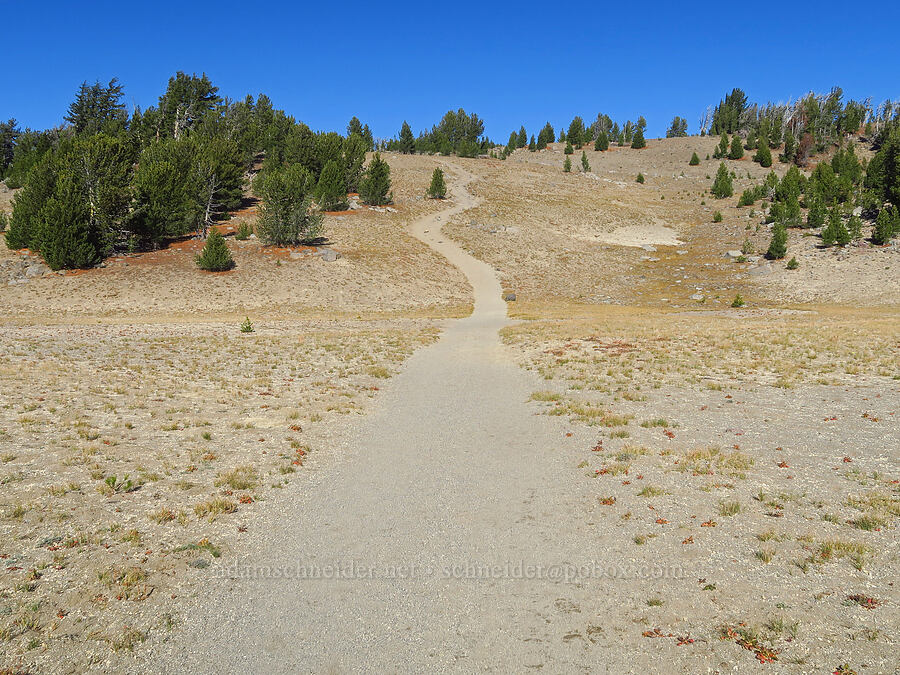 the trail [Tam McArthur Trail, Three Sisters Wilderness,  County, Oregon]