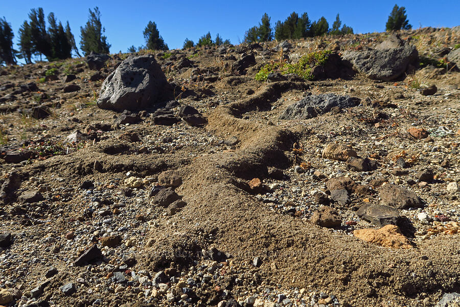 gopher esker [Tam McArthur Rim, Three Sisters Wilderness,  County, Oregon]