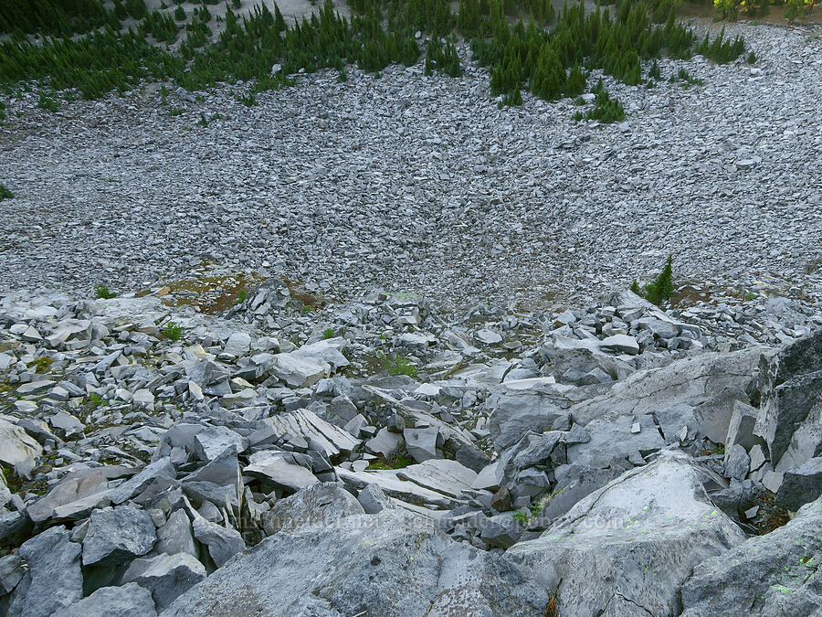 talus [below Tam McArthur Rim, Three Sisters Wilderness, Deschutes County, Oregon]