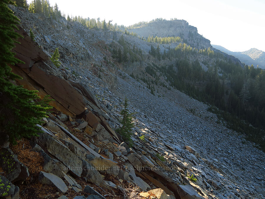 slope below Tam McArthur Rim [below Tam McArthur Rim, Three Sisters Wilderness, Deschutes County, Oregon]