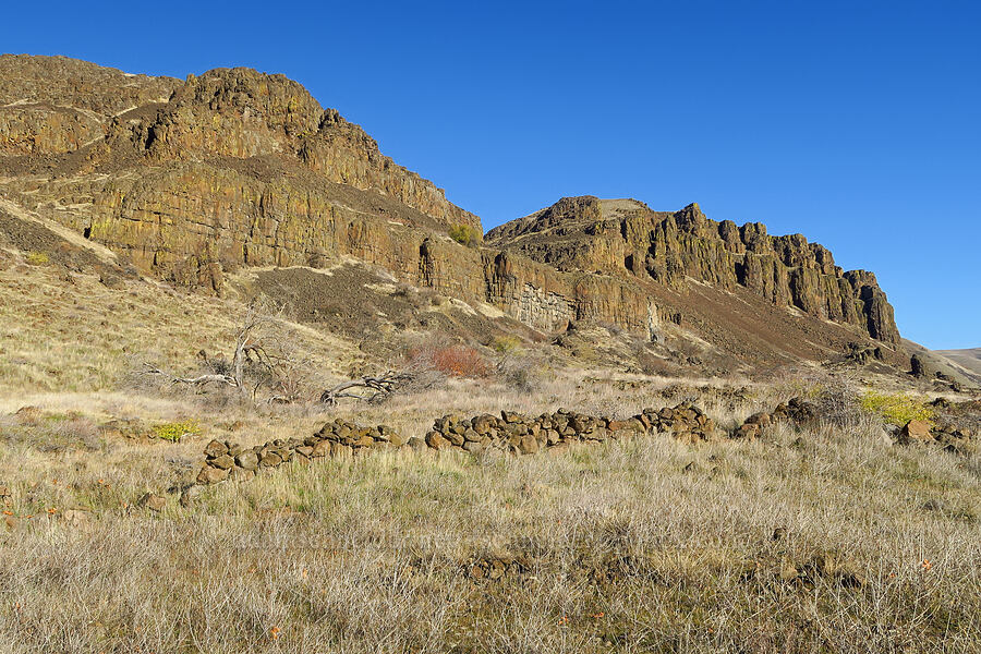 basalt cliffs [Columbia Hills State Park, Klickitat County, Washington]