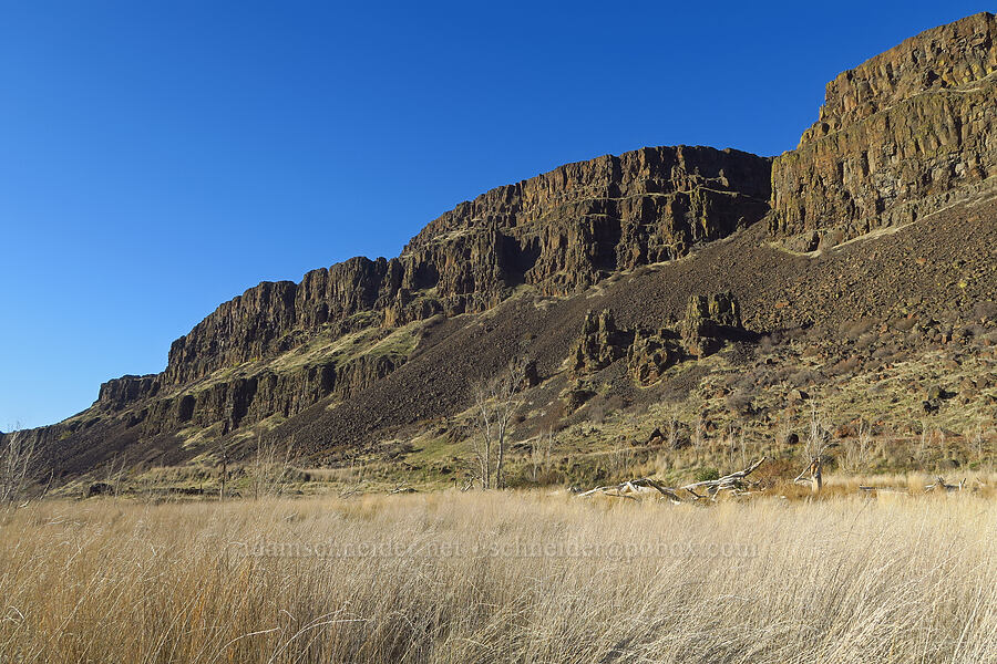 tall grass & cliffs [Columbia Hills State Park, Klickitat County, Washington]