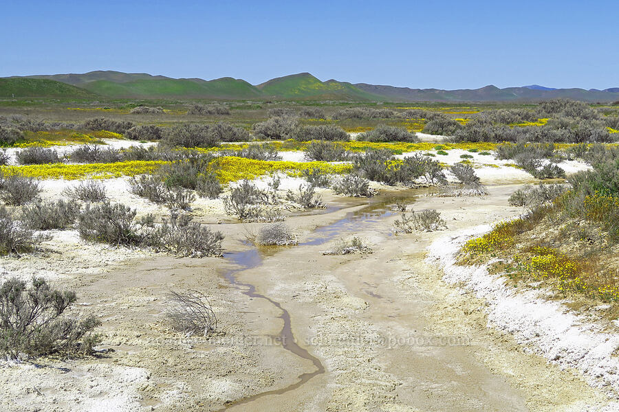 southeast end of Soda Lake [Simmler Road, Carrizo Plain National Monument, San Luis Obispo County, California]